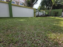Poh Huat Road (D19), Terrace #602335551